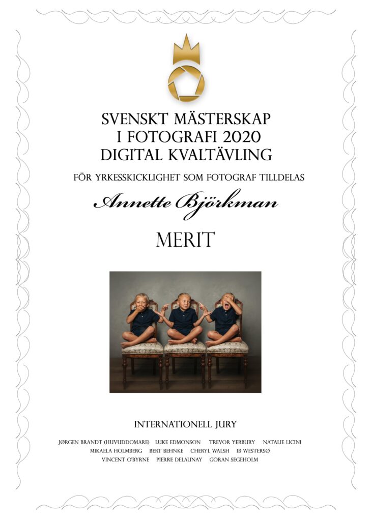 Diplom MERIT Digitalkvaltävling