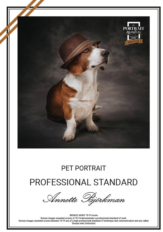 2020 Diplom Portrait Masters