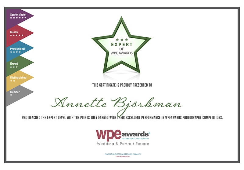WPE Expert