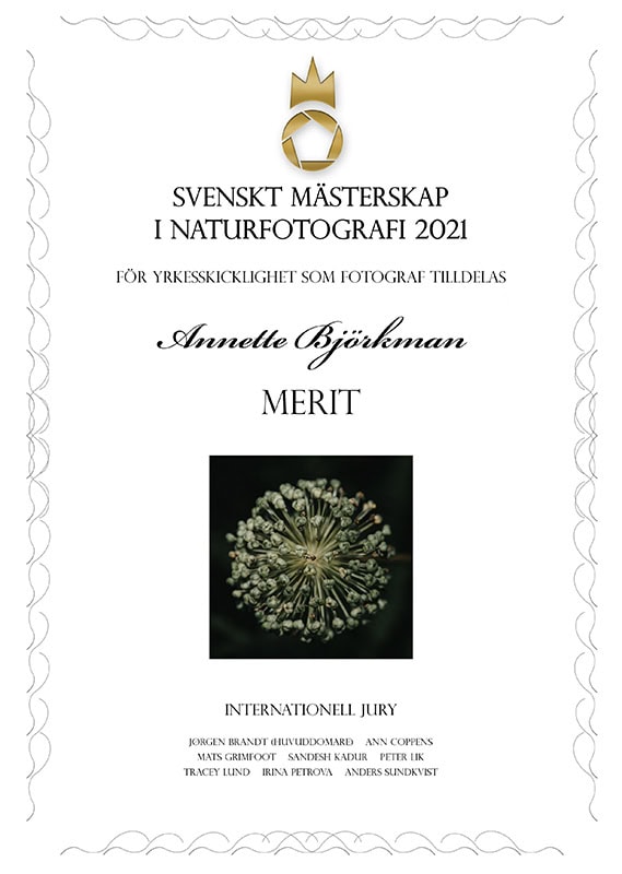 2021-digital-Merit - Växter