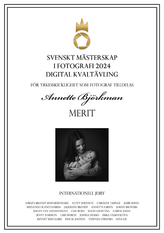 2024-digital-Merit - Baby