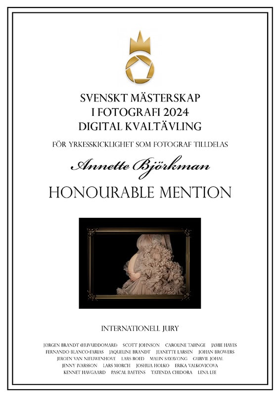 2024-digital-Honourable Mention - Gravid