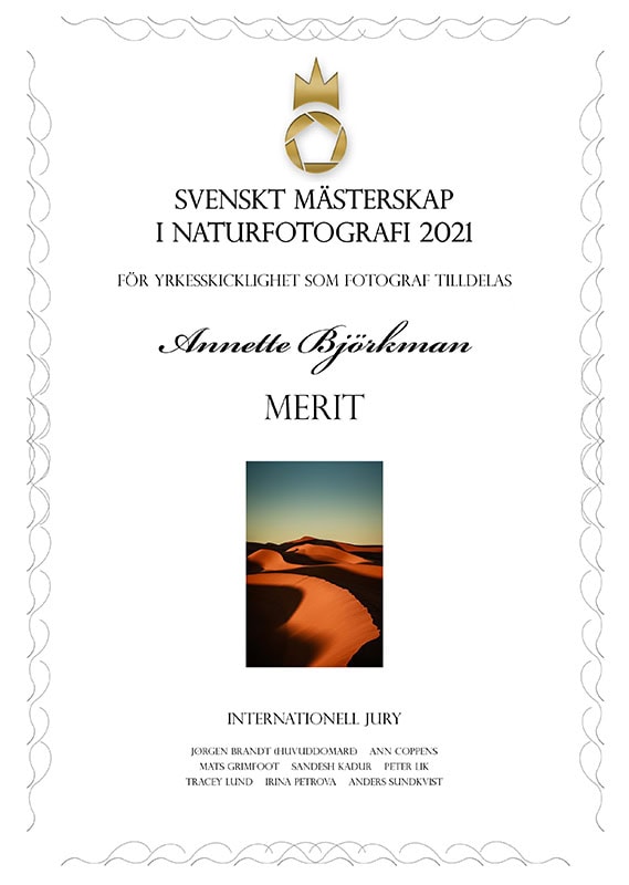 2021-diplom digital Merit Landskap